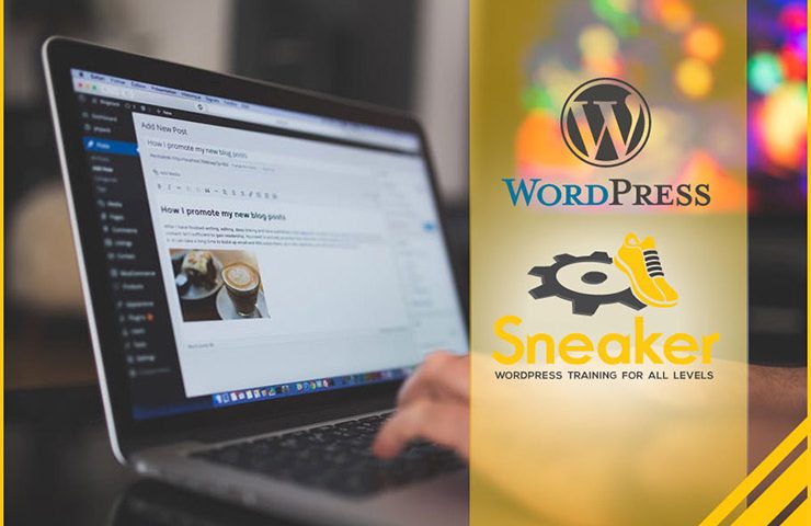 Sneaker Web Design WordPress Training in Houston